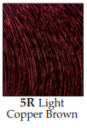 رنگ مو تیوپی 5R قهوه ای مسی روشن آکوارلی