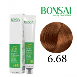 رنگ مو بن سای سری شاه بلوطی شماره CT6