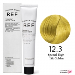 رنگ مو تیوپی رف سری های لیفت special high lift golden 12.3