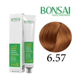 رنگ مو بن سای سری عسلی شماره H6
