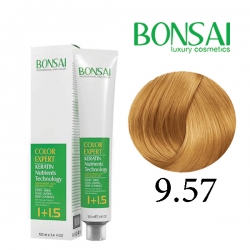 رنگ مو بن سای سری عسلی شماره H9