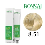 رنگ مو بن سای سری بژ شماره B8