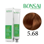 رنگ مو بن سای سری شاه بلوطی شماره CT5