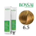 رنگ مو بن سای سری طلایی شماره G6