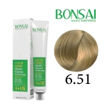 رنگ مو بن سای سری بژ شماره B6