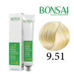 رنگ مو بن سای سری بژ شماره B9